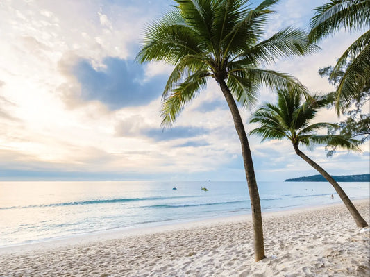 Top 10 des accessoires de plage tendance en 2025